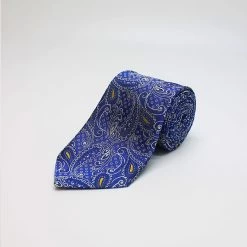 Blue Paisley Woven Silk Tie